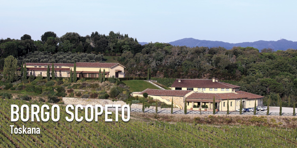 Blick auf das Weingut Borgo Scopeto
