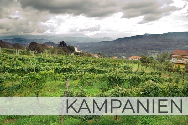 Region kampanien mit Blick über Weinberge und die nahen Berggipfel